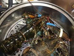 波士顿大龙虾-盒马鲜生(联投广场店)