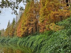 -成都南湖公园