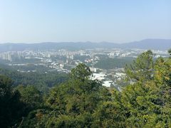 -火炉山森林公园