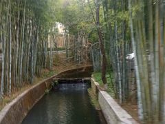 -广东温泉宾馆