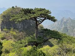 -圣莲山风景区