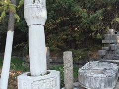 -彩色沙林风景区