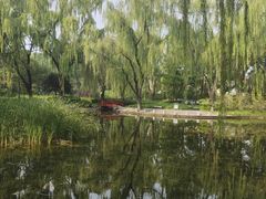 -玲珑塔公园