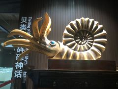 -贝壳王国博物馆