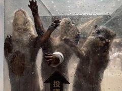 -波塞冬旅游度假区