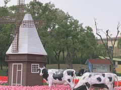 -大宁公园