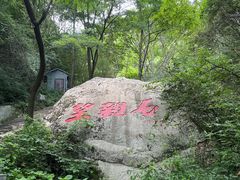 -王顺山国家森林公园