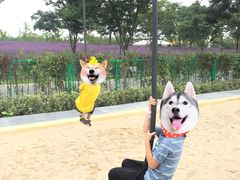 -季高兔窝窝亲子园(上海薰衣草公园店)