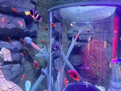 -沈阳海洋探索中心