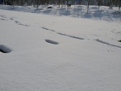 -荣德灶台鱼(圣泉寺店)