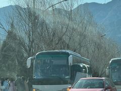 -大自然农场蔬菜草莓采摘园