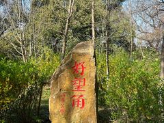 -上海市保健医疗中心