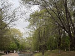 -长白岛森林公园
