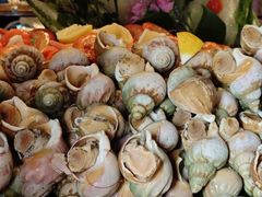 -北京王府井天伦王朝酒店