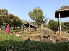 -上海野生动物园