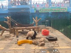 -沈阳森林动物园