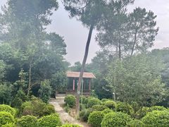 -南山植物园