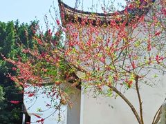 -乌山风景区