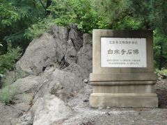 -白水寺森林公园