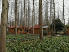 -上海怡沁园度假酒店