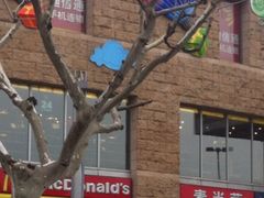 招牌-麦当劳(百联西郊购物中心店)