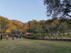 -神光山国家森林公园