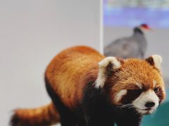 -中国湿地博物馆