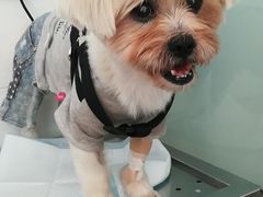 -喵汪萌宠屋旗舰店.洗澡美容.猫狗基地