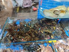 -船奇蒸汽海鲜·闽菜(八市海鲜总店)