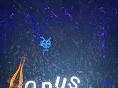 -CLUB OPUS欧贝斯酒吧(合肥店)
