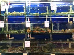 水产区-阿静美食