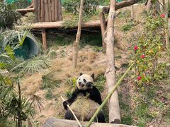 -乐和乐都主题乐园