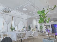 -白棠(九方保利大厦店)