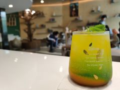 芒果橙香苏打-飞行喵MR PILOT|猫舍·猫咖(静安大融城店)