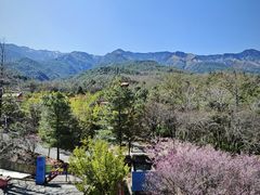 -崇圣寺三塔文化旅游区