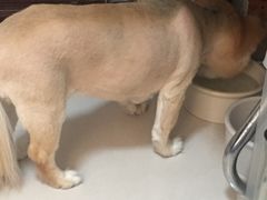 -宠颐生中康贝怡动物医院