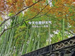 -秋霞圃
