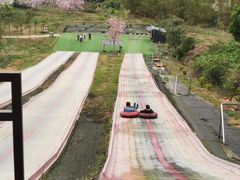 -南丹山森林王国