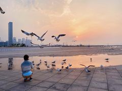 -东港音乐喷泉广场