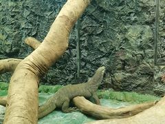 -广州长隆飞鸟乐园