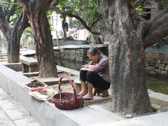 -小洲村