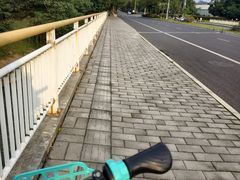 -两河城市森林公园