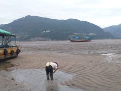 -北岐滩涂