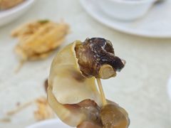 -锐记美食店·现捞海鲜(闸坡店)