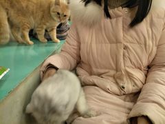 -萌喵咖啡屋(人民东路4号口M16商铺店)