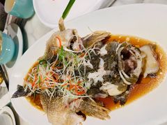 -蝶园·装修中(BFC外滩金融中心店)