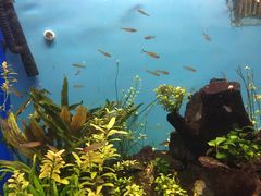 -多彩贵州城极地海洋世界