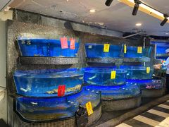 -北海渔村酒楼·粤菜海鲜点心(新华店)