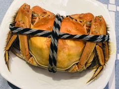 -黄记大闸蟹专卖店·活蟹·醉蟹