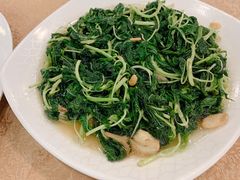 蒜蓉苋菜-揭阳钟记小食(福田新村店)